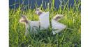 Natur Pur – die 4cats-„Nature Line“
