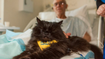 Purina Europa verleiht den Better-with-Pets-Preis