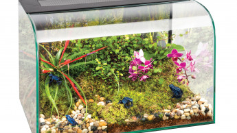Das Lifestyle-Terrarium