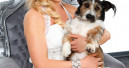 Hausmesse von Trixie