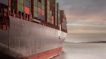 Futtermittel im internationalen Handel