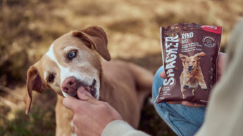 Mera setzt auf Relex für KI-gestützte End-to-End-Planung