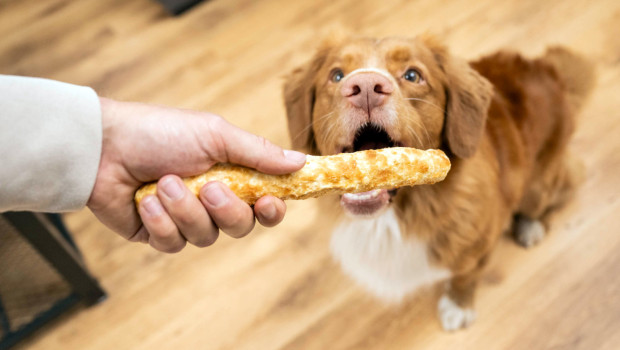 Die Marke 8in1, hier im Bild „Better Bello Kau-Snacks“ aus hochverdaulichem Rinderhautkollagen, ist bekannt für Hundesnacks.