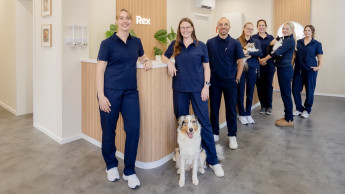 Start-up Rex eröffnet Praxis in Düsseldorf