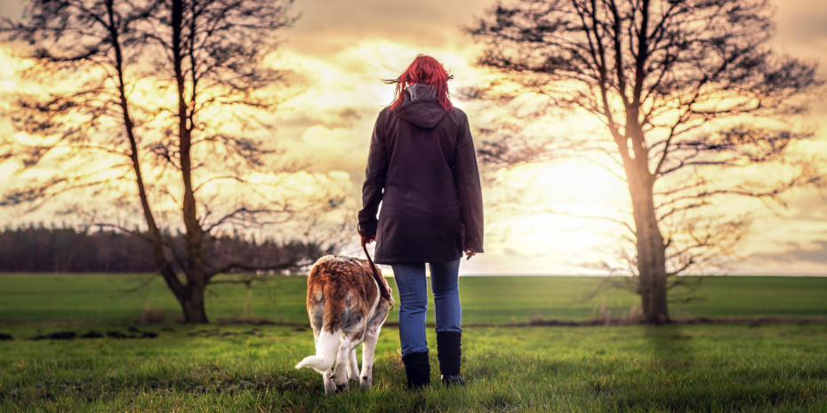 Outdoor-Produkte für Hunde, Foto: Pixabay, Seaq68
