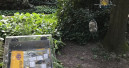 Naturpark kooperiert mit Gevo und Schwegler
