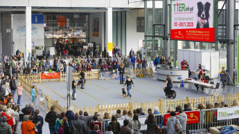 Viele Besucher in Essen und Karlsruhe 