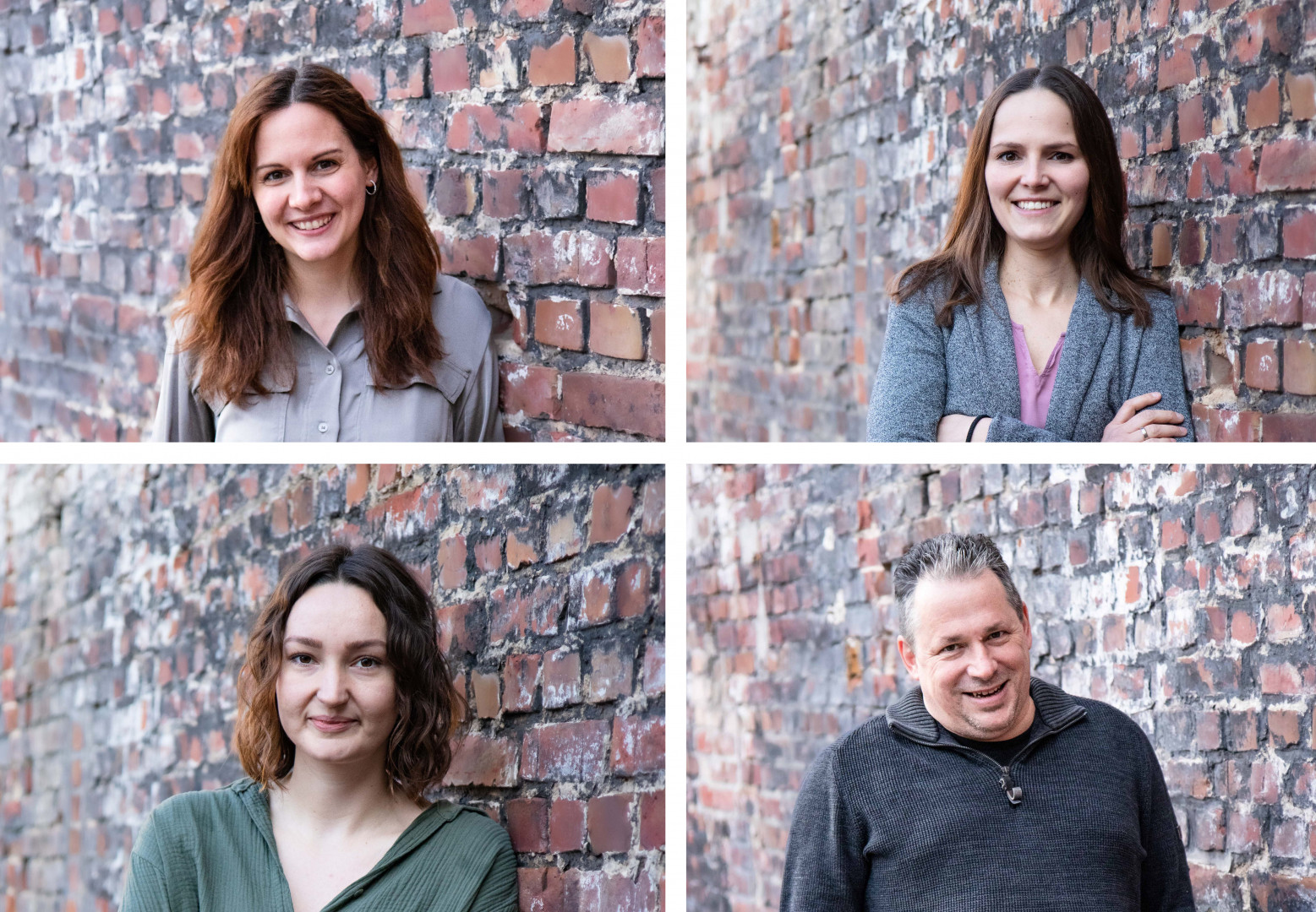 Grau Erweitert Sein Team Pet online grau-erweitert-sein-team-pet-online