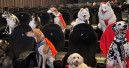 Filmpremiere für Petfluencer