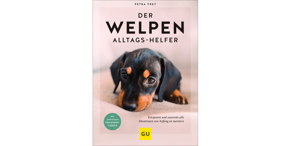 Der Welpen-Alltags-Helfer