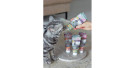 Katzen-Eis, der innovative Snack