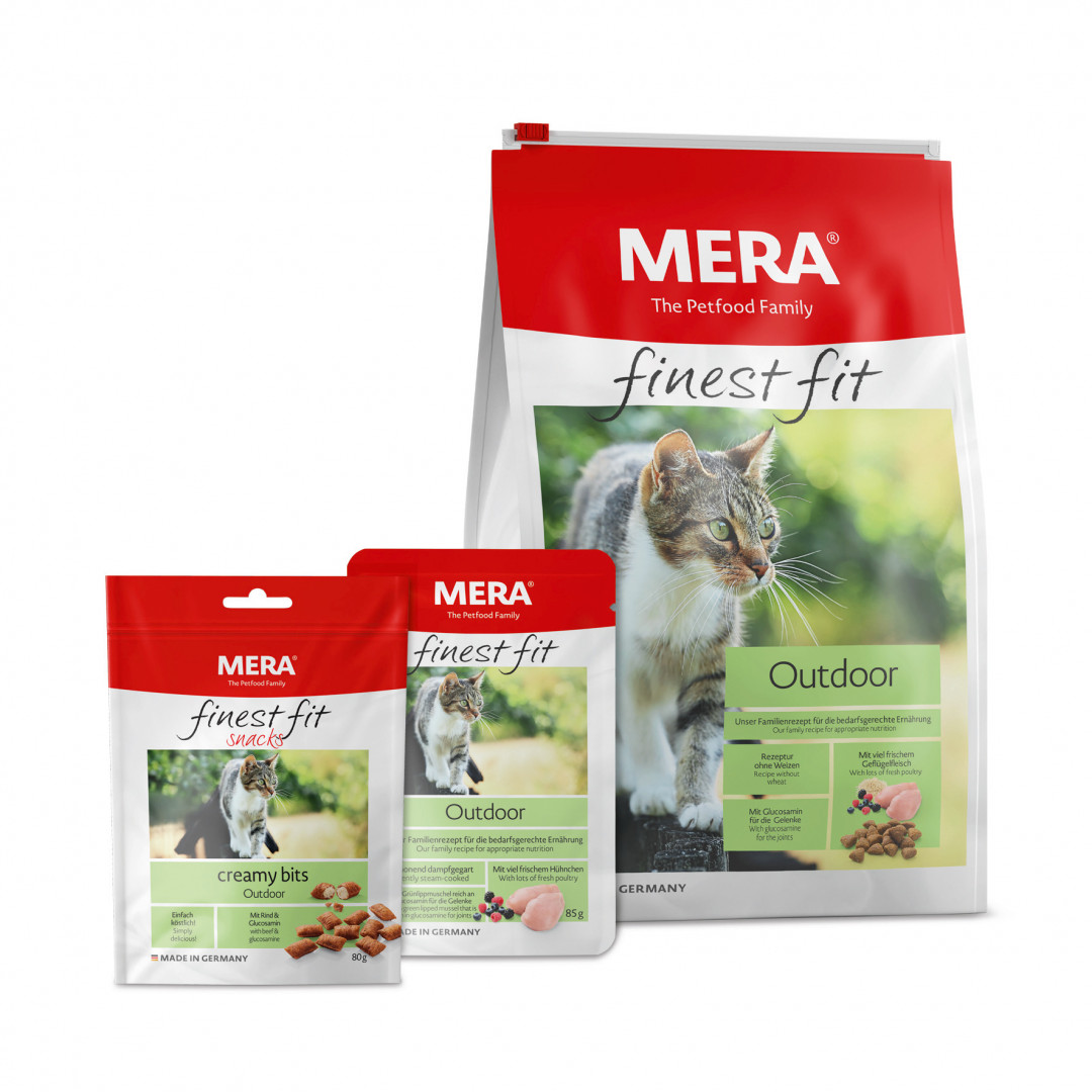 ReaVET Senior Complete Pulver Für ältere Katzen – 3-Monats-Vorrat Mit Vitaminen & Taurin