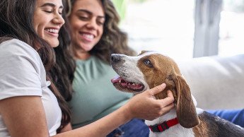 Purina setzt sich für „gesundes Altern“ ein
