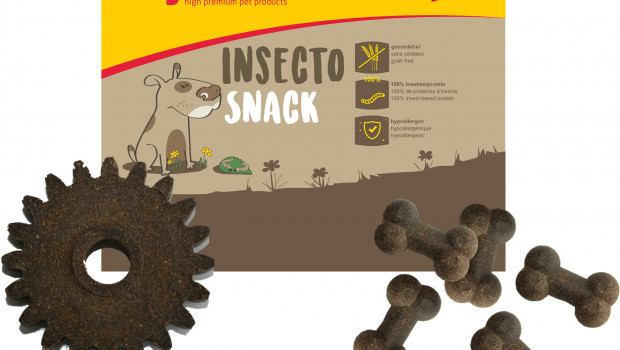 petZEBA, kyli Insecto Snacks Bones und Gears,