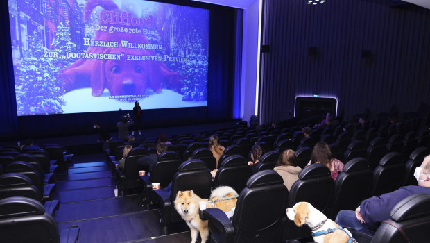 18 Petfluencer konnten mit ihren Hunden eine Kinopremiere erleben.