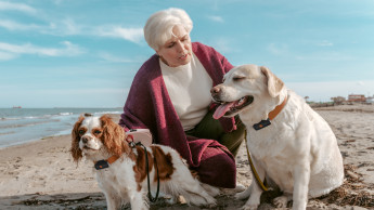 Pet-Tech auf dem Vormarsch