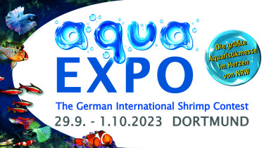 Neuer Name, neues Logo, neu mit Meerwasser