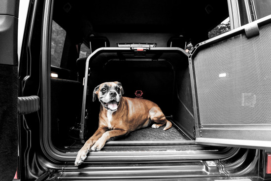 „Origami Hundebox“ &nbsp;von 1one1