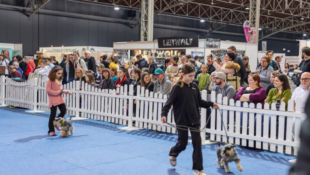 Mitmachflächen für Besucher mit ihren Hunden gehören zu den Attraktionen der Haustiermesse Wien.