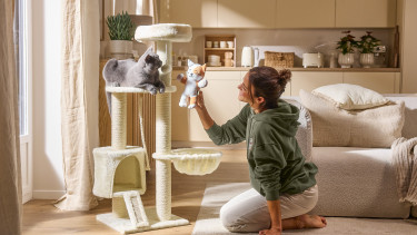 Lidl: Neue Eigenmarke für Hund und Katze