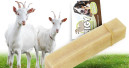 Kauvergnügen mit Ziegenmilch