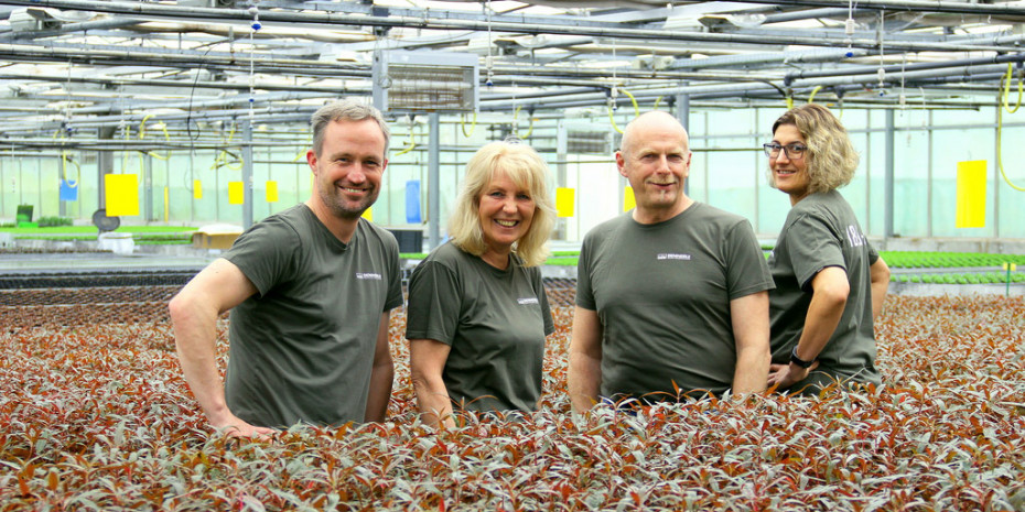 Dennerle, Das Management-Team (von links): Ingo Walther (CEO), Rita Schmidt (Sales), Rainer Frank (Sourcing) und Melanie Regelmann (Produktion).