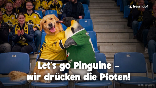 Die Partnerschaft geht dabei über klassisches Sportsponsoring hinaus. Gemeinsam möchten die Krefeld Pinguine und Fressnapf Menschen zusammenbringen, Emotionen schaffen und die Begeisterung für den Sport in der Region fördern. Die Partnerschaft geht dabei über klassisches Sportsponsoring hinaus. Gemeinsam möchten die Krefeld Pinguine und Fressnapf Menschen zusammenbringen, Emotionen schaffen und die Begeisterung für den Sport in der Region fördern.
