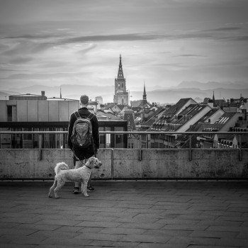 Bild: Pixabay, lukasbieri