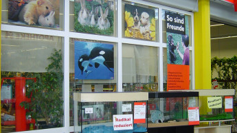 Zoo & Co. Nicolaus will angeblich zu Fressnapf wechseln