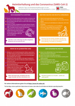Die Infografik des IVH vermittelt übersichtlich Tipps und Verhaltensregeln.
