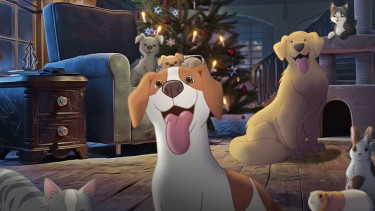 Fressnapf präsentiert emotionalen Weihnachtsspot