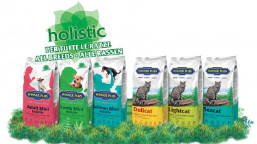 Neuheiten von "Winner Plus"