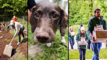 Zooplus unterstützt Tierschutzverein Rosenheim