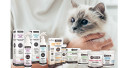 Die Hausapotheke für die Katze