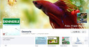 Dennerle beliebt auf Facebook