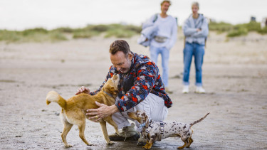Mit Purina die Kraft der Mensch-Tier-Beziehung entdeckt