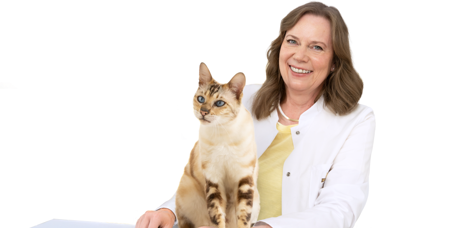 Dr. med. vet. Alexandra Hüsken, Tierärztin für Kleintiere, erklärt, was hinter der neuen VetLine von Wildcat steckt. Dr. med. vet. Alexandra Hüsken, Tierärztin für Kleintiere, erklärt, was hinter der neuen VetLine von Wildcat steckt.
