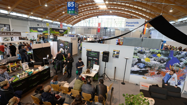 In Halle B5 der Aqua-Fisch erwartet Zierfischfreunde ein buntes Programm.