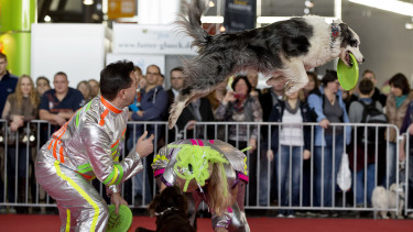 Zwei Messen an einem Wochenende