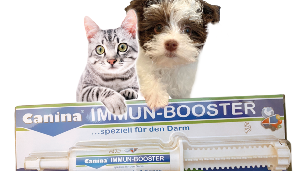 Canina, Immun-Booster