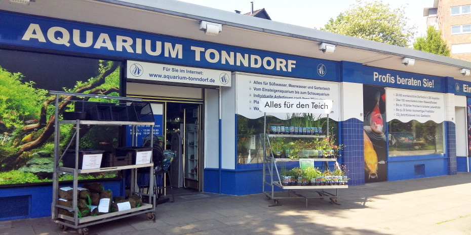 Aquaristik, Aquarium Tonndorf
