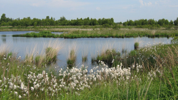 Das Fröslev-Jardelunder Moor ist ein Naturschutzgebiet in den schleswig-holsteinischen Gemeinden Jardelund und Osterby im Kreis Schleswig-Flensburg. Es stellt den westlichen Teil eines Hochmoores unter Schutz, das sich beiderseits der deutsch-dänischen Grenze erstreckt. 