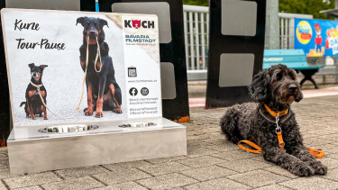 Dog Day in der Bavaria Filmstadt