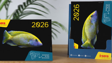 Sera-Kalender geht in die dritte Runde