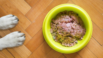 Tackenberg ruft freiwillig Produkte zurück