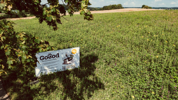 Die „Goood“-Bienenweide bietet Wildtieren, Vögeln und Insekten einen größeren Nahrungs-, Brut- und Rückzugsraum und soll auch in Zukunft wachsen.