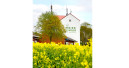 „Unser Know How – Ihre Marke!“