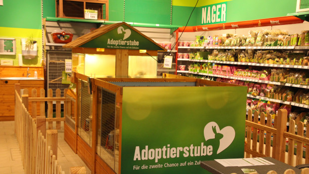 Im vergangenen Sommer wurde bereits eine Adoptierstube im Fressnapf-Markt in Mannheim integriert.