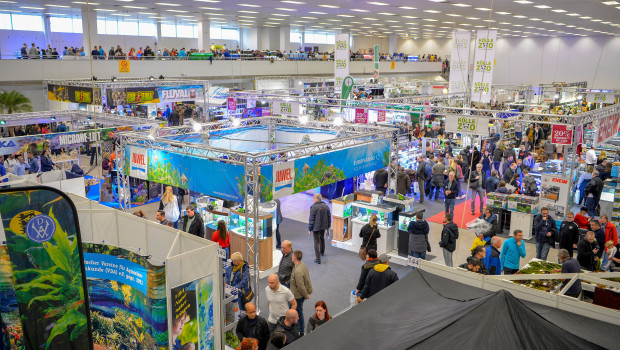 Die Fisch & Reptil, hier 2019 noch in Sindelfingen, galt als wichtigste Aquaristik- und Terraristikveranstaltung im Spätjahr.