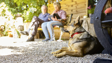 Kölle Zoo sponsert und begleitet Gnadenhof